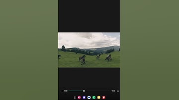 ✨️من يعرف اسم القارئ سهله ✨️