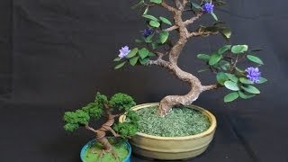 Make a Bonsai Tree out of Wire