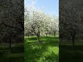 Просто душевно Подписывайтесь ❤️