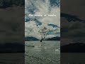 Wanaka is beautiful #newzealand #downunder #wanaka #wanaketree