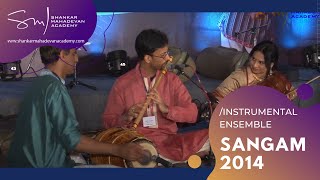 SANGAM 2014 - Instrumental Ensemble - A Musical Welcome screenshot 2