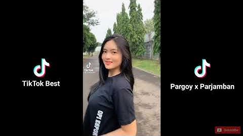 Kumpulan TikTok Viral 2021 | Goyang Pargoy x Parjamban | Part 8 #Tiktokbest