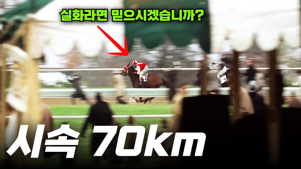 시속 70km 절름발이 말을 탄 한쪽 눈을 잃은 남자의 감동실화 [결말포함]