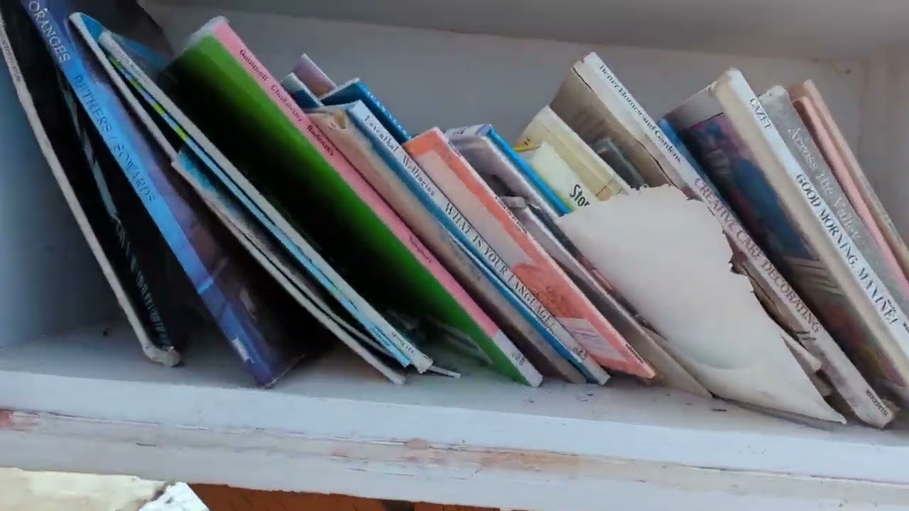 Geocaching: Vera Good Book