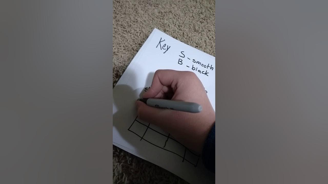 Dihybrid Guinea Pig Answer Key