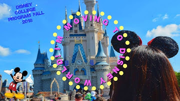 All About the Disney College Program Application Process-ACCEPTED! || DCP Fall 2018 || ilebowitz77