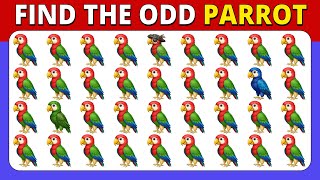 🦜 Find The Odd One Out Emoji – Bird 🐦🐣🦩 Emoji Edition | 40 Puzzles 🧩 | Find The Numbers & Letters screenshot 2