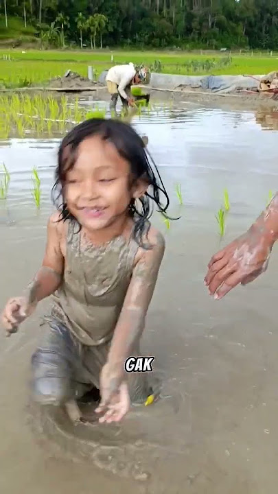 When Dad Was Angry Seeing Bagas Crawling In The Rice Field. I Was Playing In The Mud Dad 🤦♂️🤦♂️...