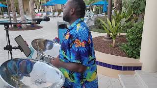 Beauty and the Beast (Steelpan cover)