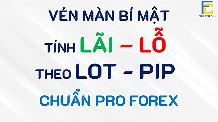 Pip nghĩa là gì tính lời lỗ ra sao