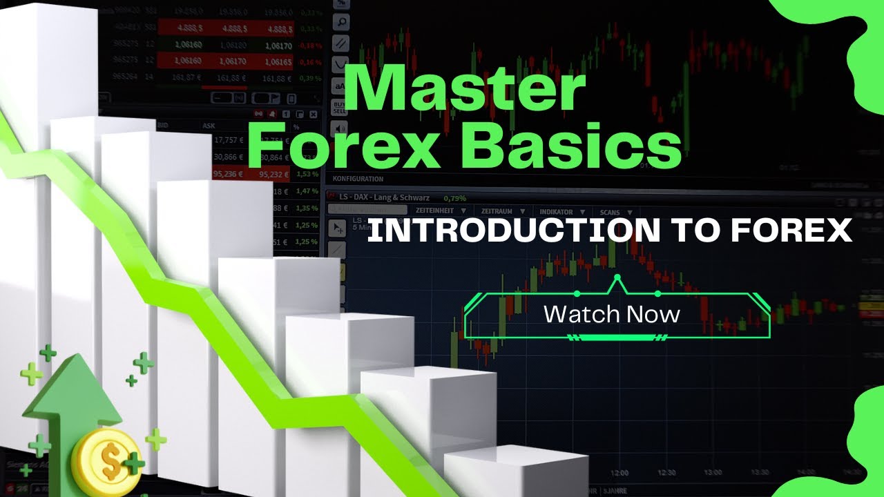 Master Forex Basics : Introduction to Forex