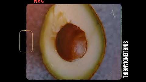 Thumbnail of Avacado Toast - WHAT'S APP STATUS SONG