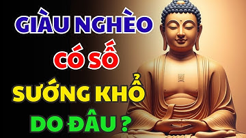 GIÀU NGHÈO Có Số? SƯỚNG KHỔ Do Trời Hay Do Con Người Lựa Chọn? Nghe Lời Phật Dạy Về GIÀU NGHÈO
