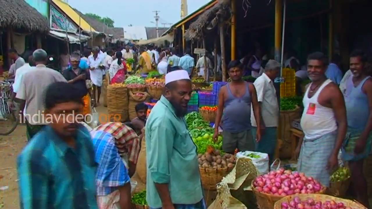 What Is Rajapalayam Famous For