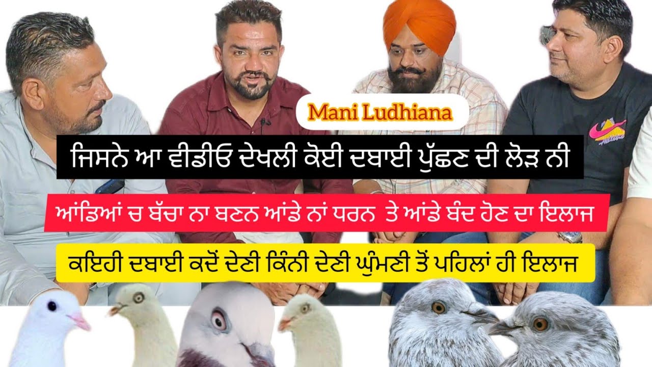 Ik Shonk kabootarbaazi Da Interview Mani Ludhiana Har Bimari Da Ilaz Is Video Wich