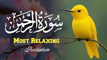 سورة الرحمن بصوت محمد مزمل كانجو | تلاوة خاشعة تبكي القلوب | تلاوة مؤثرة جدا 306
