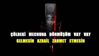 Ünal Çalık - Öyle Bir Sevdaya Düşmüşüm / Karaoke / Md Altyapı / Cover / Lyrics / HQ