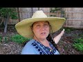 Creating a Beautiful Perennial Cottage Garden !