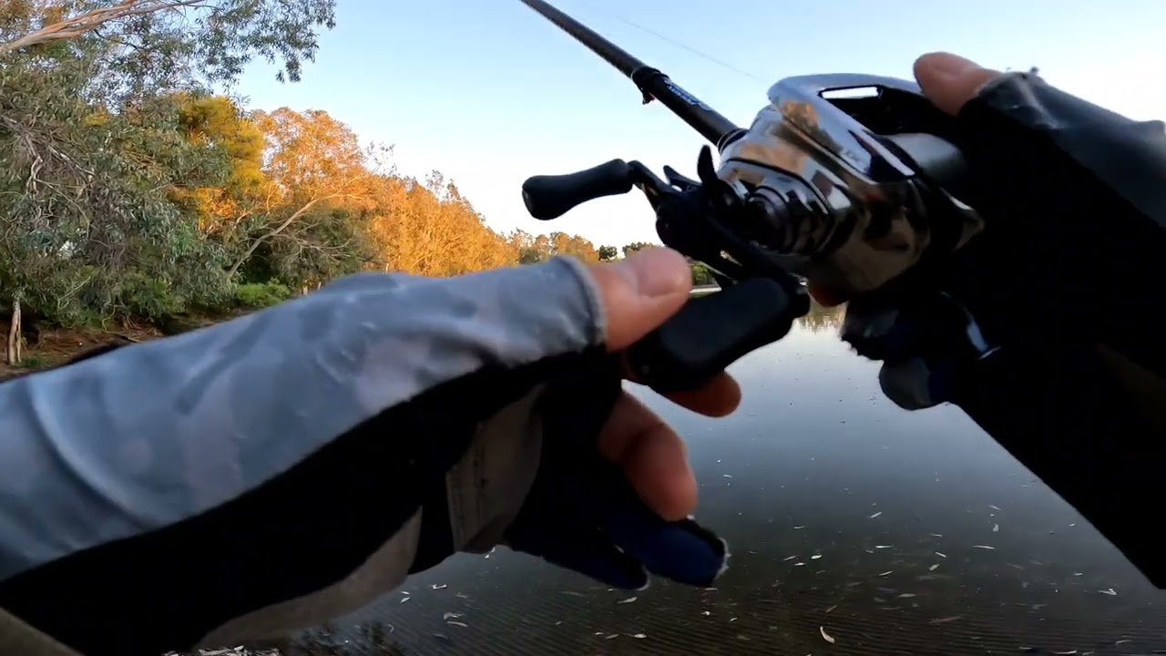 Sycamore Island| Nuv Ntses| Bass Fishing| 6/27/2024