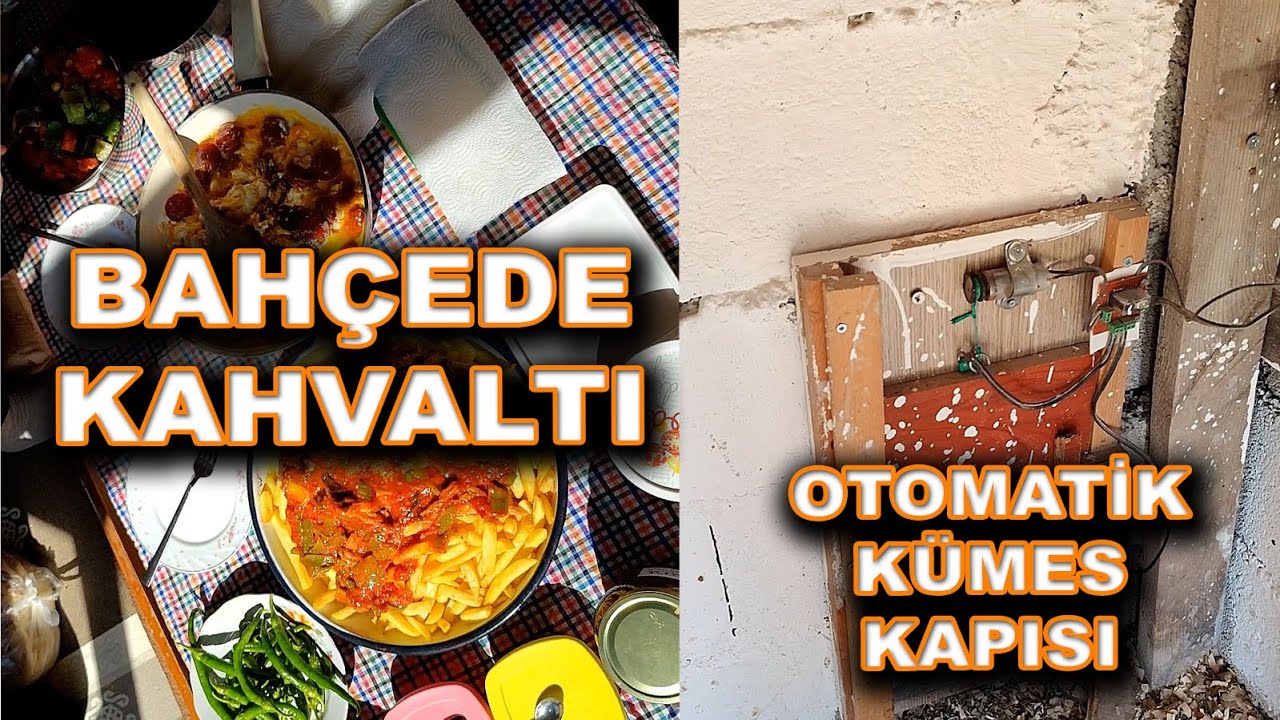 Otomatik Kümes Kapısı Tamiri - Bahçede Mükemmel Kahvaltı - Kışlık Hazırlıklar  - Kümes Temizliği