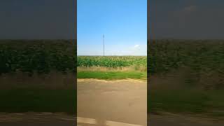 пейзажи русских дорог.