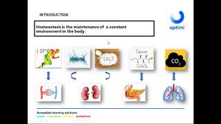 Grade 12 Life Sciences   Homeostasis