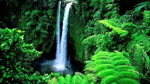 تلاوة خاشعة جدا جديده ياسر الدوسري 2014-1436 - سورة ال عمران