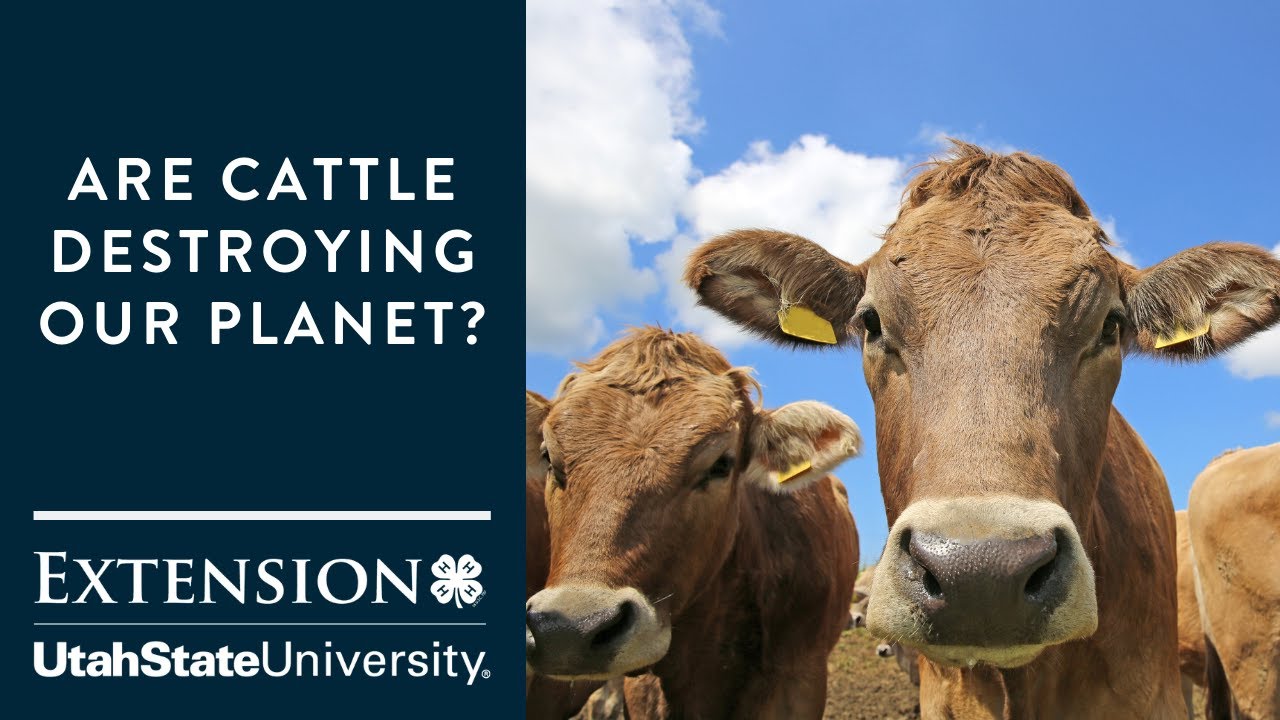 Agriculture and Greenhouse Gas Emissions Are Cattle Destroying the