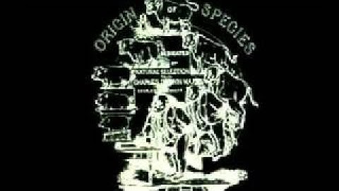 where is the evidence for evolution in the fossil record?? 4 7