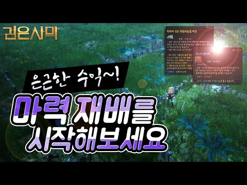 검은사막BDO Black Desert Online 은근한 수익되는 마력이 깃든 화염비늘꽃 재배 