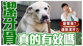 這集吃了誠實豆沙包！是零食？還是潔牙？潔牙骨真的有效嗎？有這種情況千萬不要用！dental chews for dogs｜@user-sh1cx8us5g