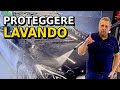 7 MODI PER PROTEGGERE L’AUTO NEL LAVAGGIO: Qual è il MIGLIORE? Guida Car Detailing #9