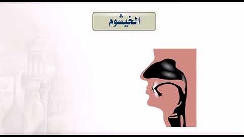 احكام التلاوة .. ماهو مخرج الخيشوم