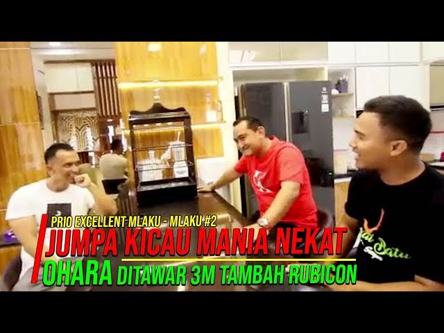 Sultan Mah Bebas Ohara Ditawar 3M Tambah Rubicon class=