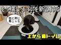 【神商品】アイリスオーヤマの上から猫トイレ！プチとレギュラーを並べて比較！