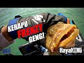 PANGGILAN PULAU | PART 1 PENYABONG | KAYAK FISHING CAMPING 4H 4M | Kayak Fishing ZERO to HERO! v43