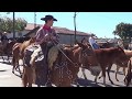 Cavalgada de Valparaíso 2017