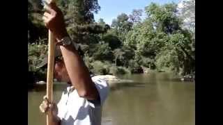 Chiang Mai Bamboo Rafting On The Maetaeng River