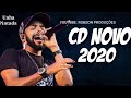 UNHA PINTADA-CD NOVO-2020_ ( músicas inéditas )