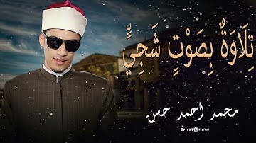 تلاوة نادرة تمزج بين قوة الأداء وروعة المقامات بصوت الشيخ محمد احمد حسن 🕌✨