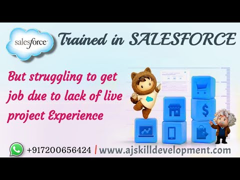 Salesforce Real-Time Projects