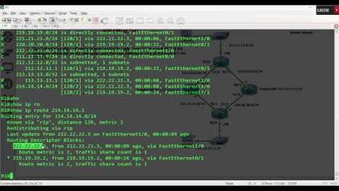 FREE URDU/HINDI Lecture 19 RIP Offset List
