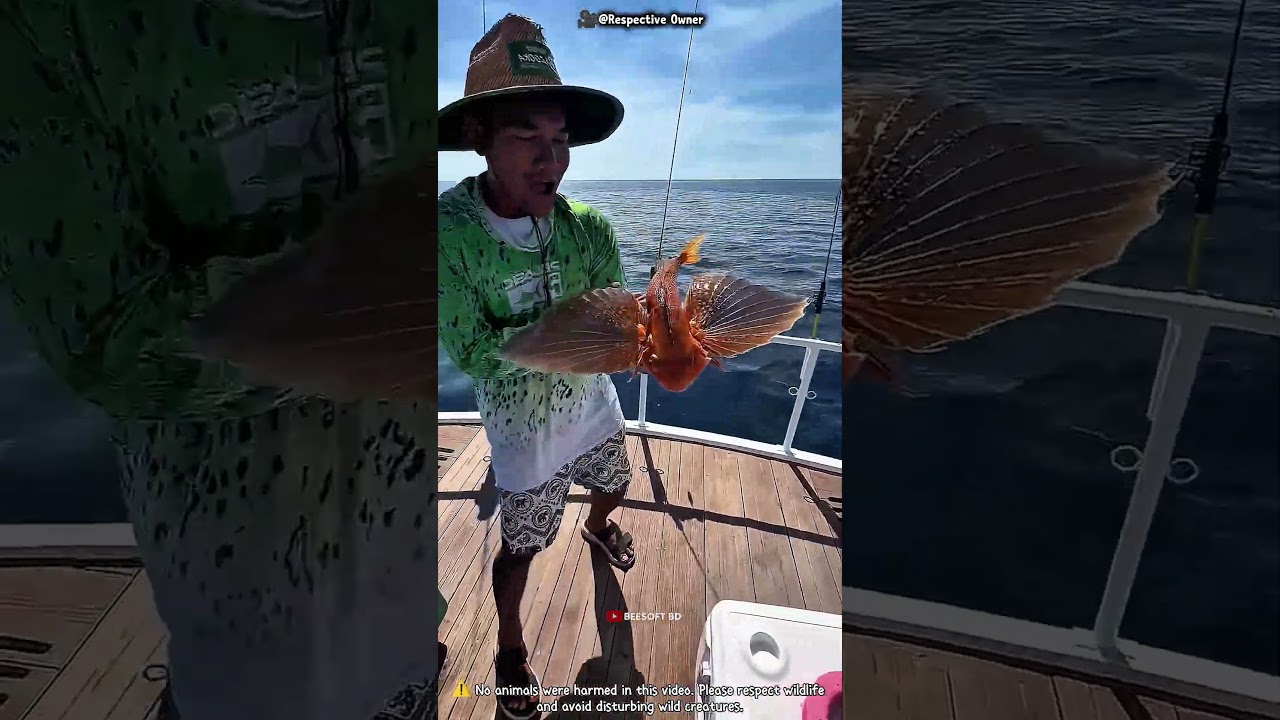 Never Throw a Flying Fish Into the Air 😳🐟 #shorts