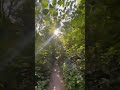 Улетай на крыльях лета!