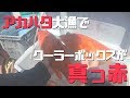 伊豆大島、最終日はアカハタ祭り!根魚大好き!12話