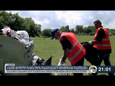 კახეთში მსოფლიო რბენის დროს დანაგვიანებული ტერიტორიები დასუფთავდა