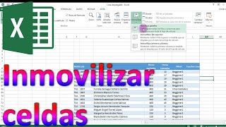 Cómo inmovilizar/fijar celdas en hojas de Excel
