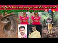 Tuni Missing Girl Jahnavi ని Python మింగితే ఏమయ్యేదో తెలుసా? అంటే Kidnap fix కదా? మరి క్షుద్రపూజలు?🚨