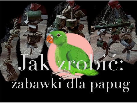 Wideo: 3 sposoby na odstraszenie dzięciołów