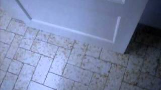Imagen 051.avi